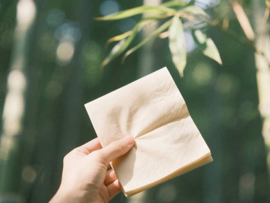 Unbleached bamboo tissue with bamboo background to show it environmental friendly